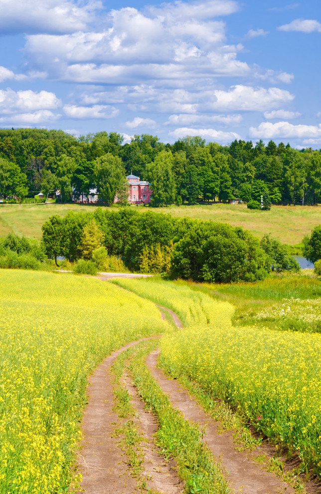 Подмосковные музеи: Куда поехать за вдохновением?