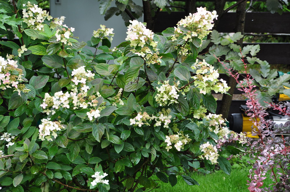 кп "Мелоди" - Уход за садом - 100% качество