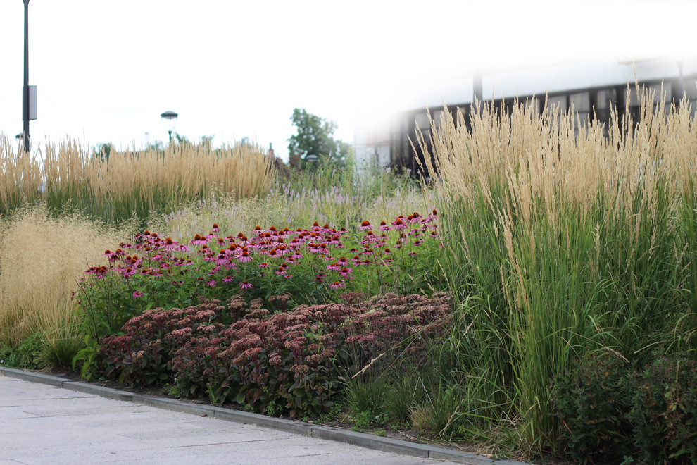 Цветники Советской площади