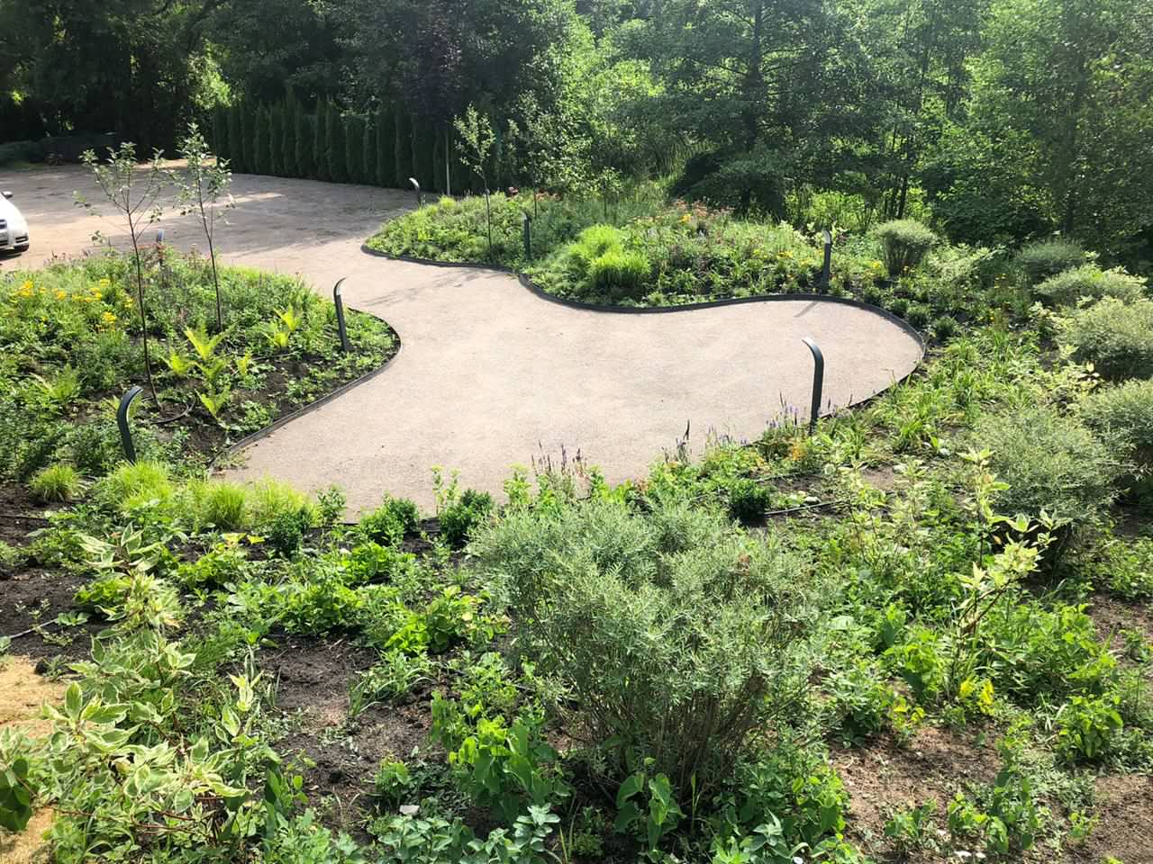 Сад на холмах - по мотивам Пита Удольфа.