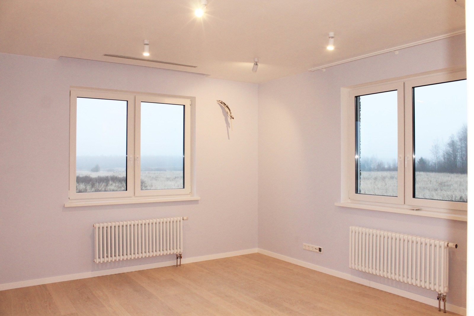 Загородный дом в д. Узигонты