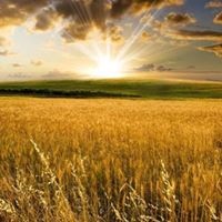 Сергей Игнатов