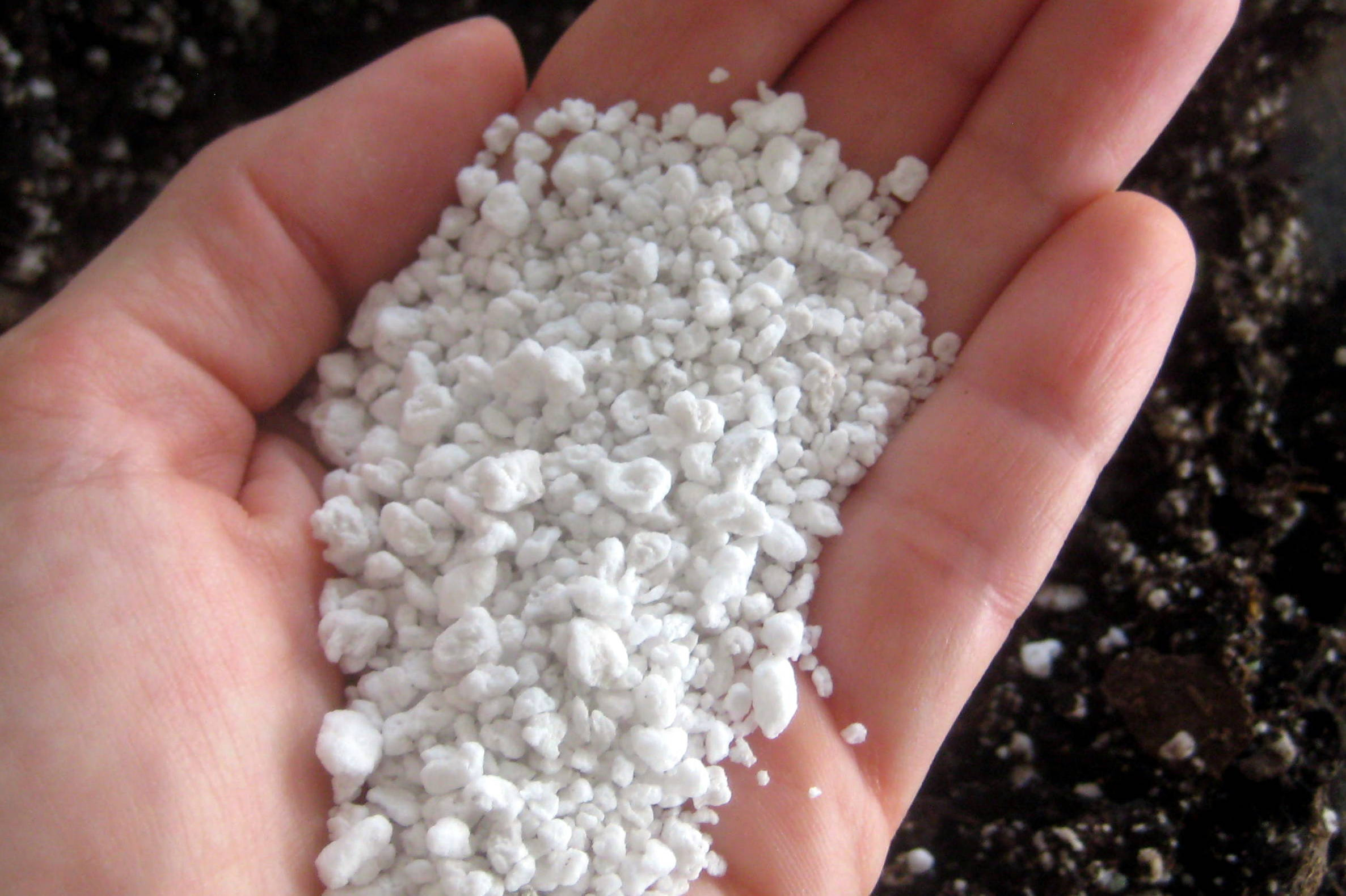 Что делать: Весенняя обработка сада от вредителей