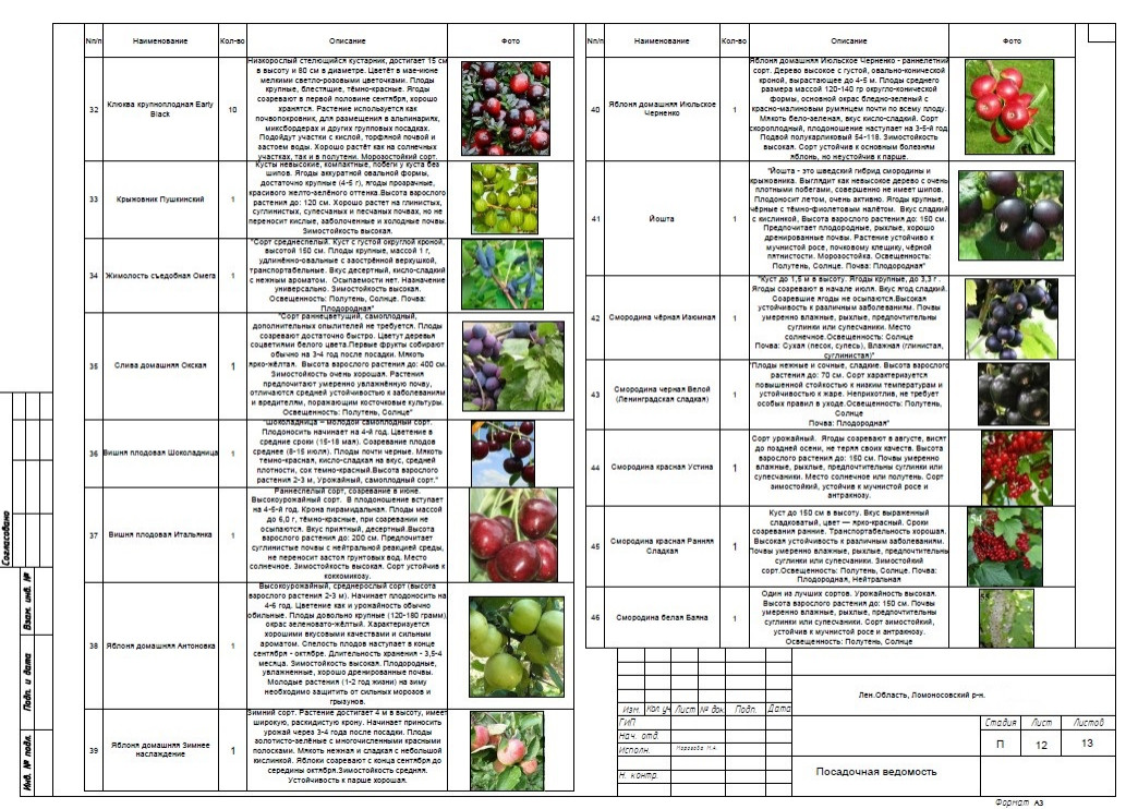 Ландшафтное проектирование