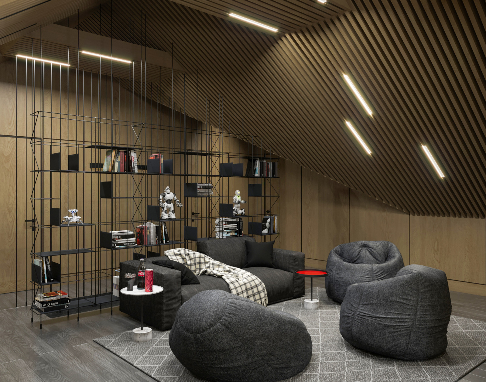 Комната подростка, чердак.