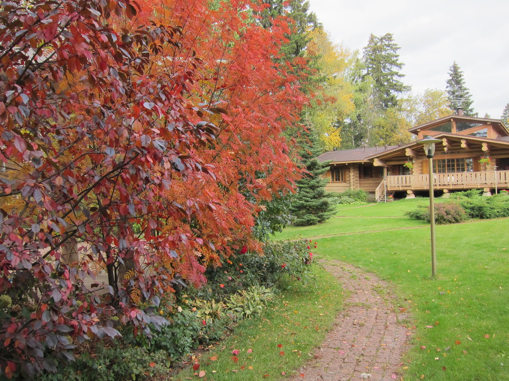 Лесная жизнь