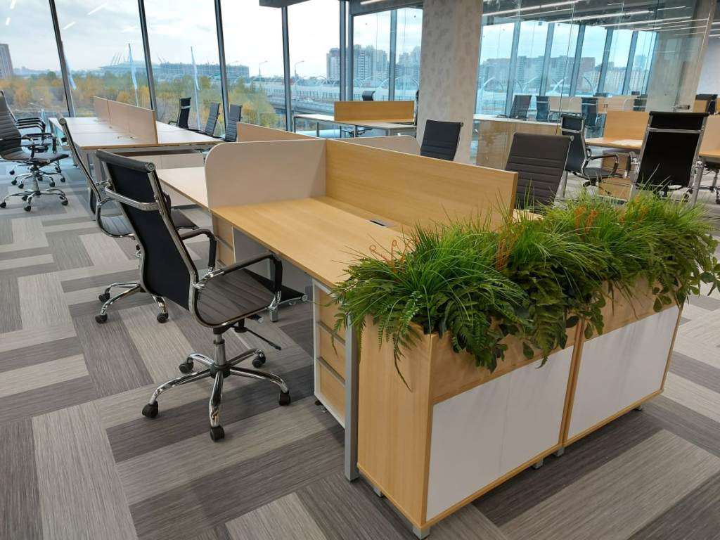 open space 5.jpg