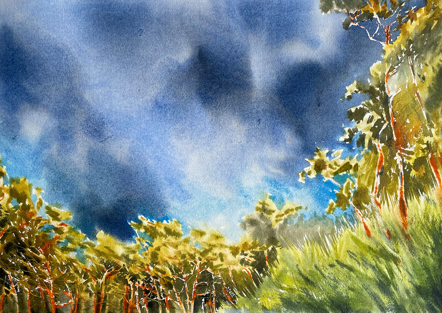 Возвращения