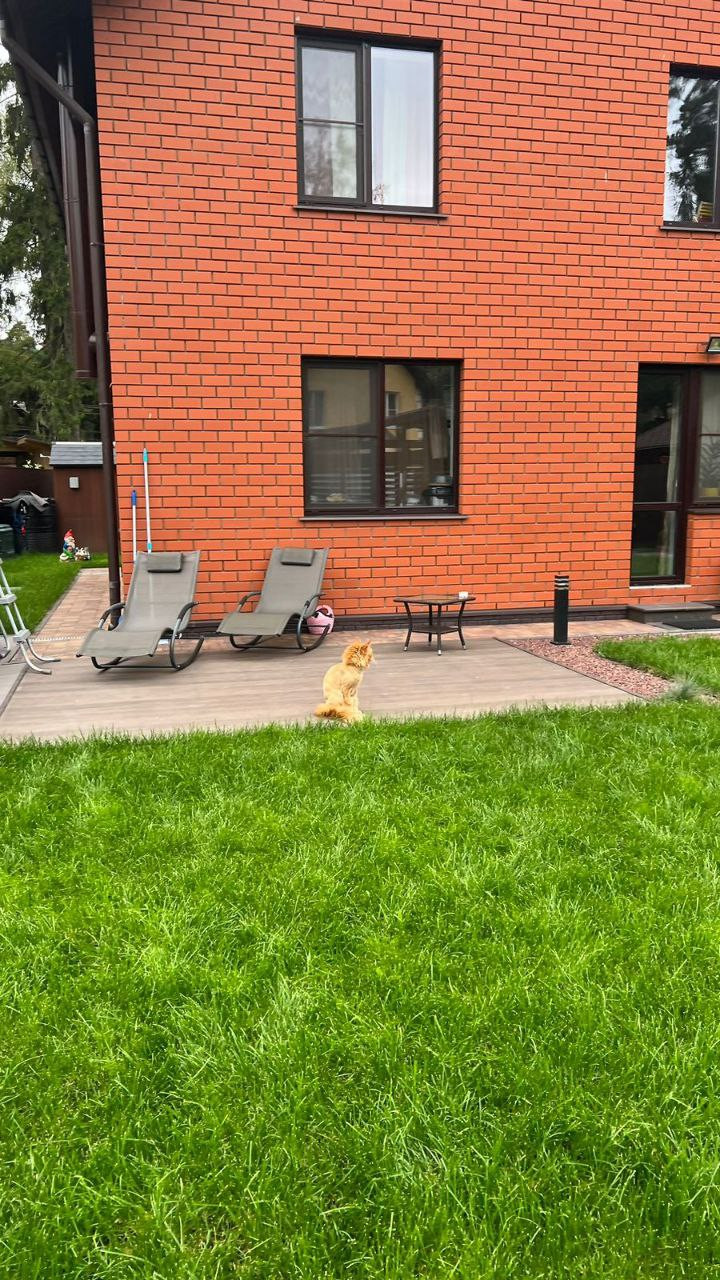 Летняя квартира (п. Удельная)