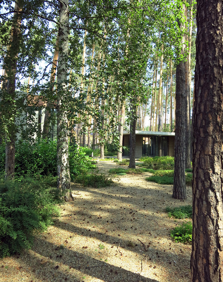 Лесные дорожки, явные и неявные