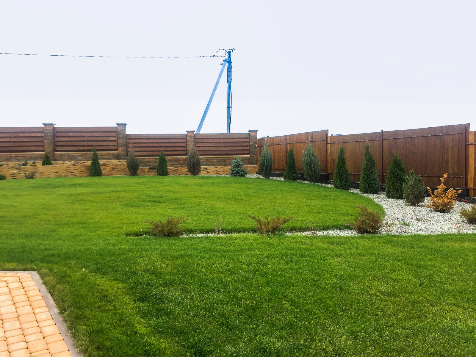 Беломестное