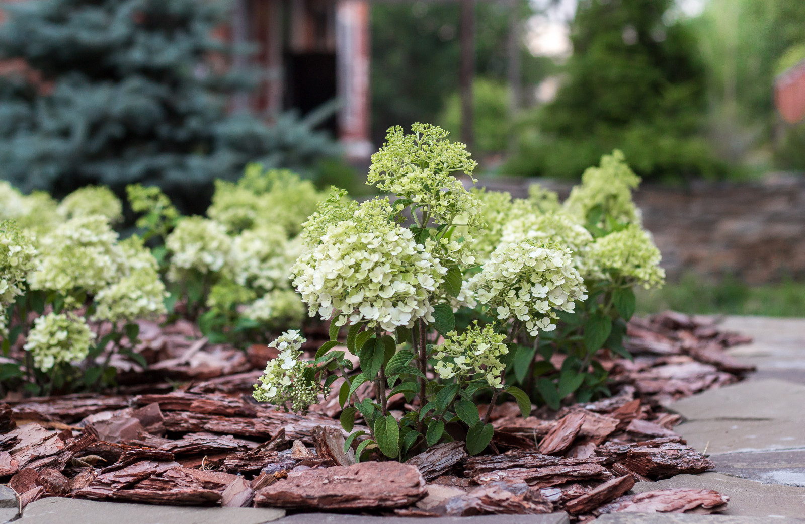 Самара ЛАП №135