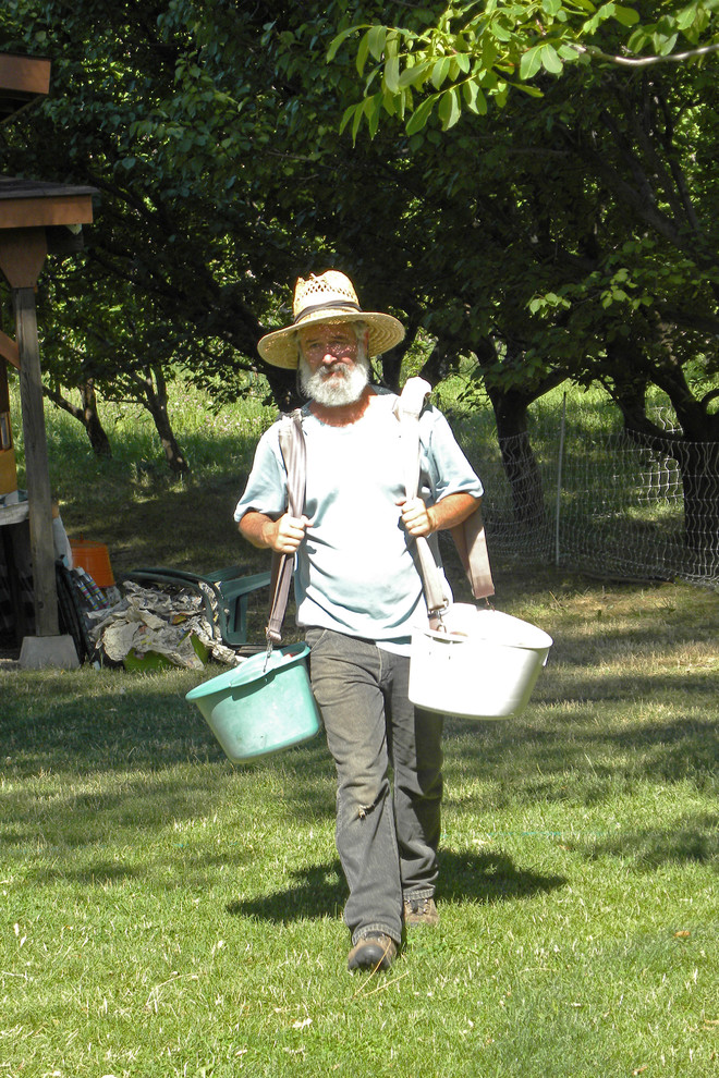 Кушать подано: Гид по питанию садовых и овощных культур