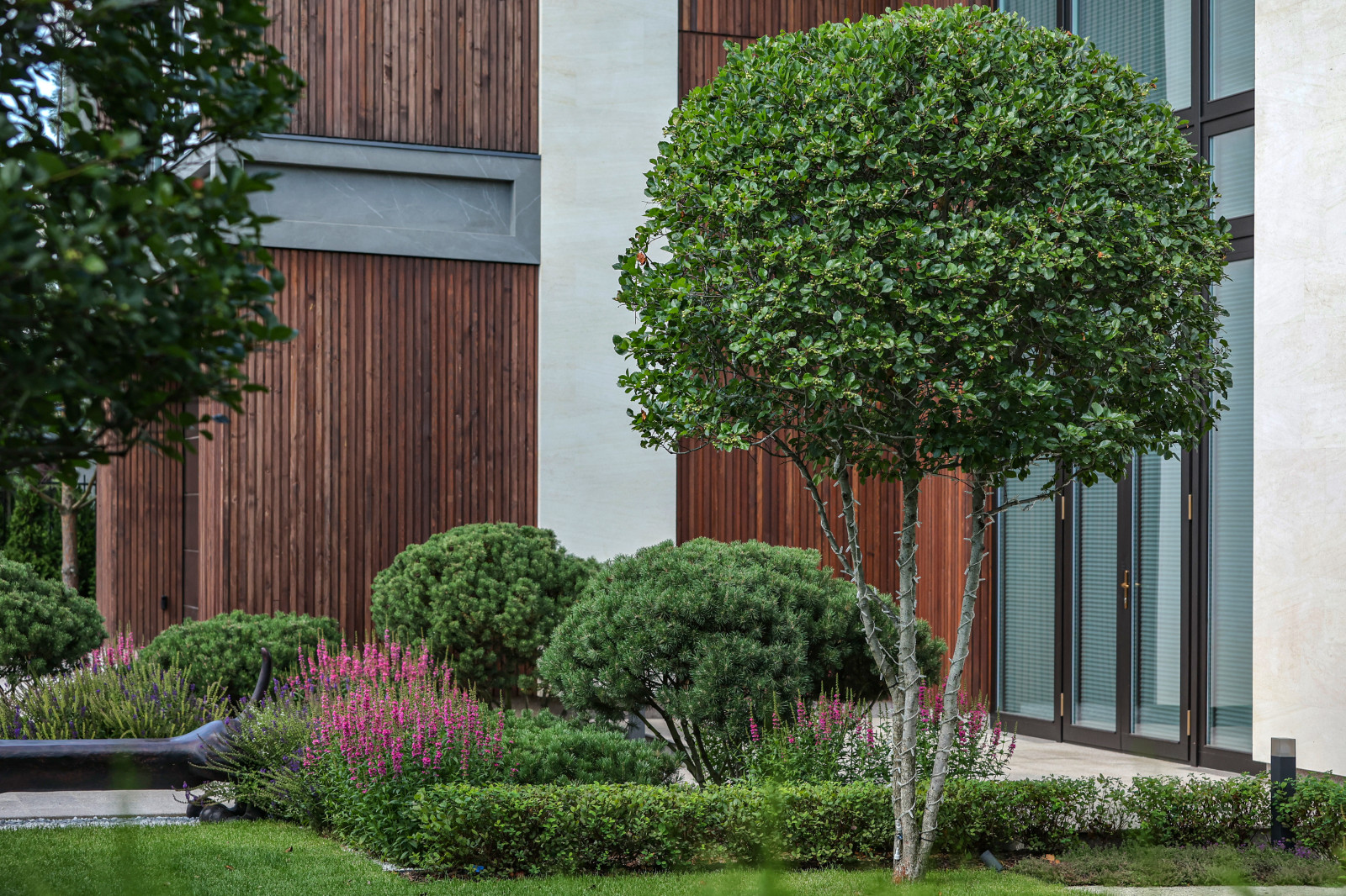 Игра в геометрию