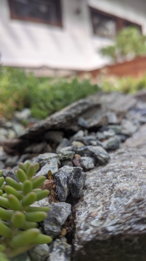 Руза Фэмили Парк