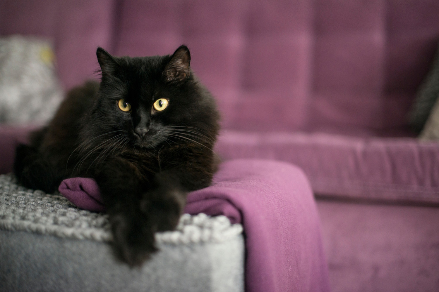 Квартира на Песчаной