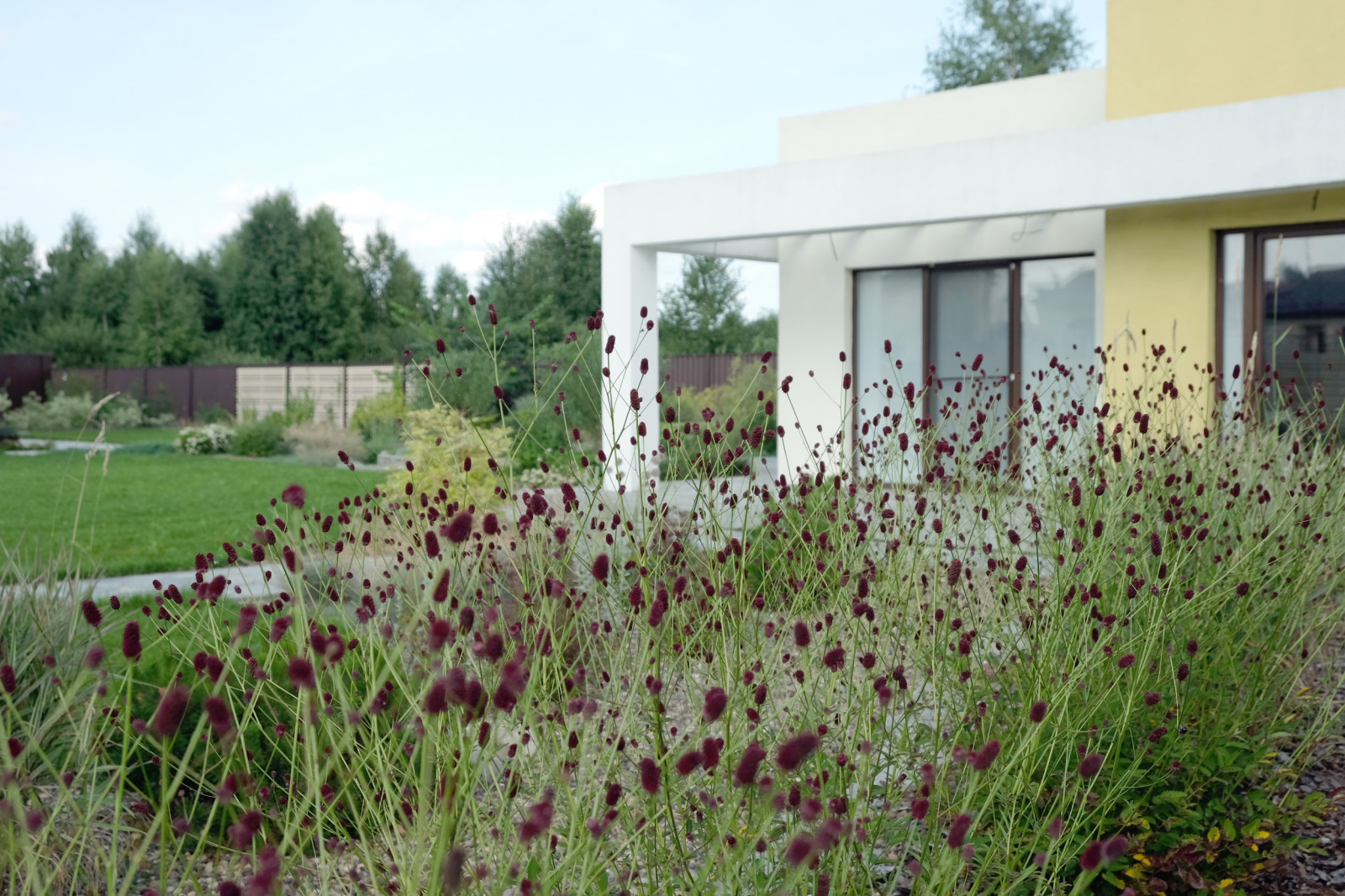 ДЫХАНИЕ ВЕТРА