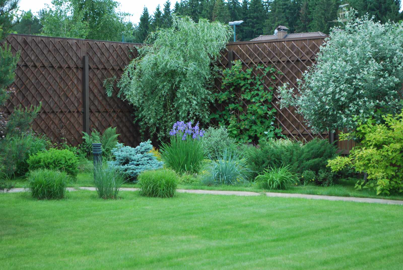 Фоновое изображение профиля Сергей Лихолат