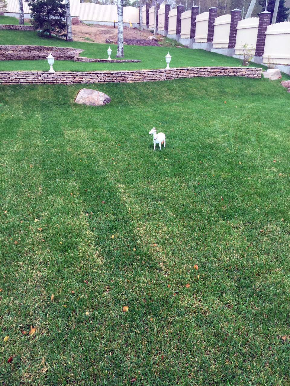 Дом из кирпича в Охтинском парке