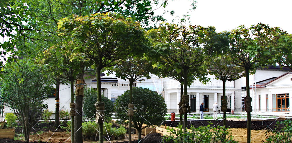 Сад: Методы экспресс-озеленения для нового участка