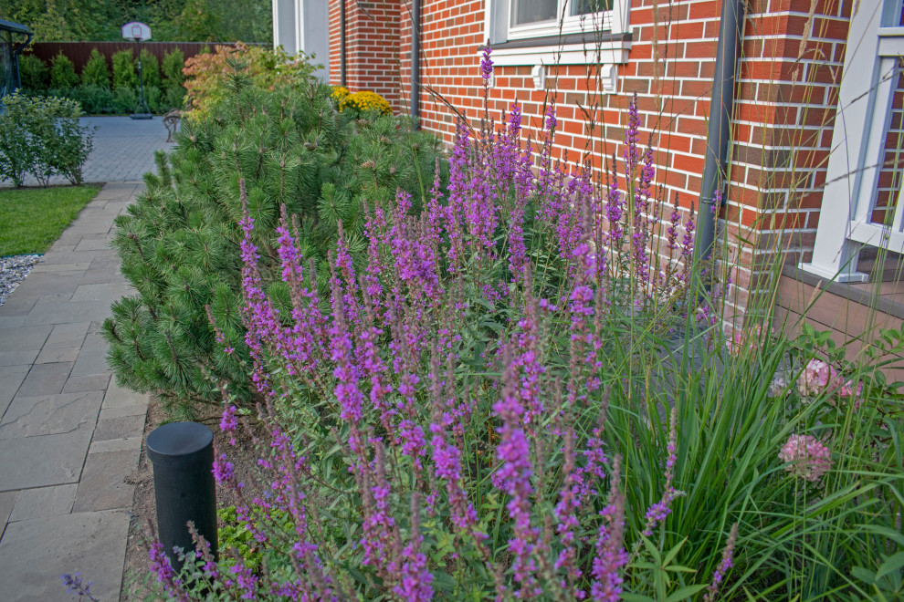 Реализация проекта частного участка в Репино