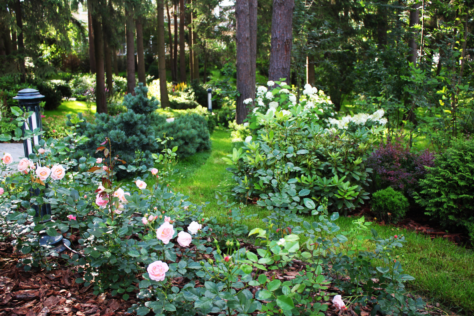 КП Резиденции Бенелюкс Московская обл.
