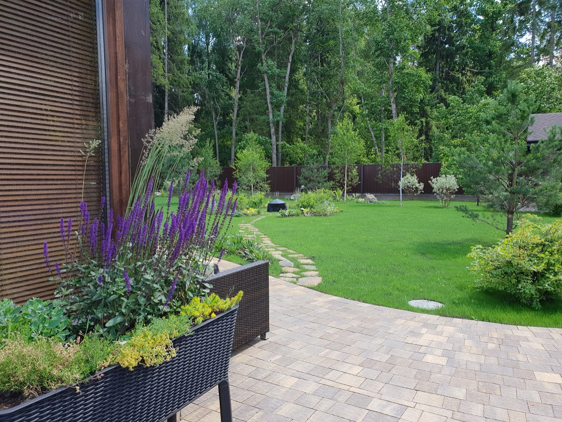 Лесная зона.