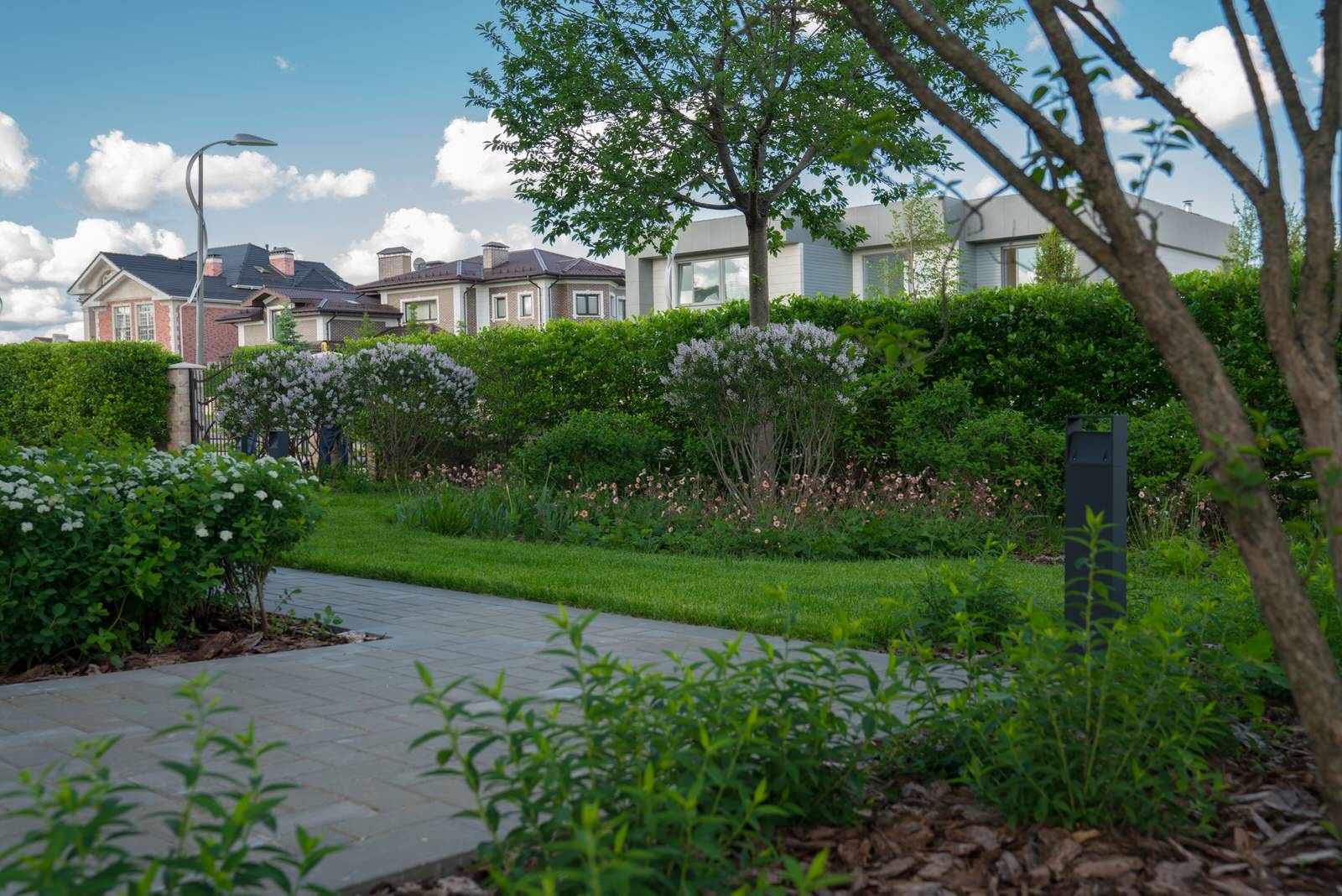 Игра контрастов. Миллениум Парк 2018 г.