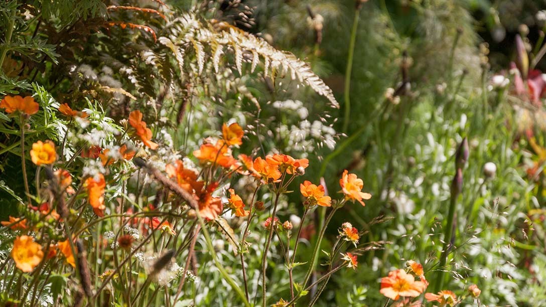Челси 2017: Модные цветы