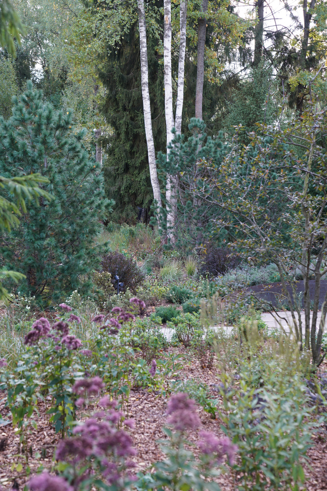 Таймлайн: 11 месяцев на реконструкцию сада 45 соток