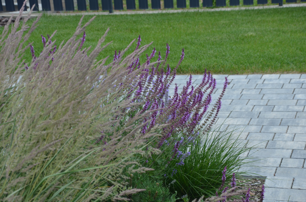 Мягкий и пушистый