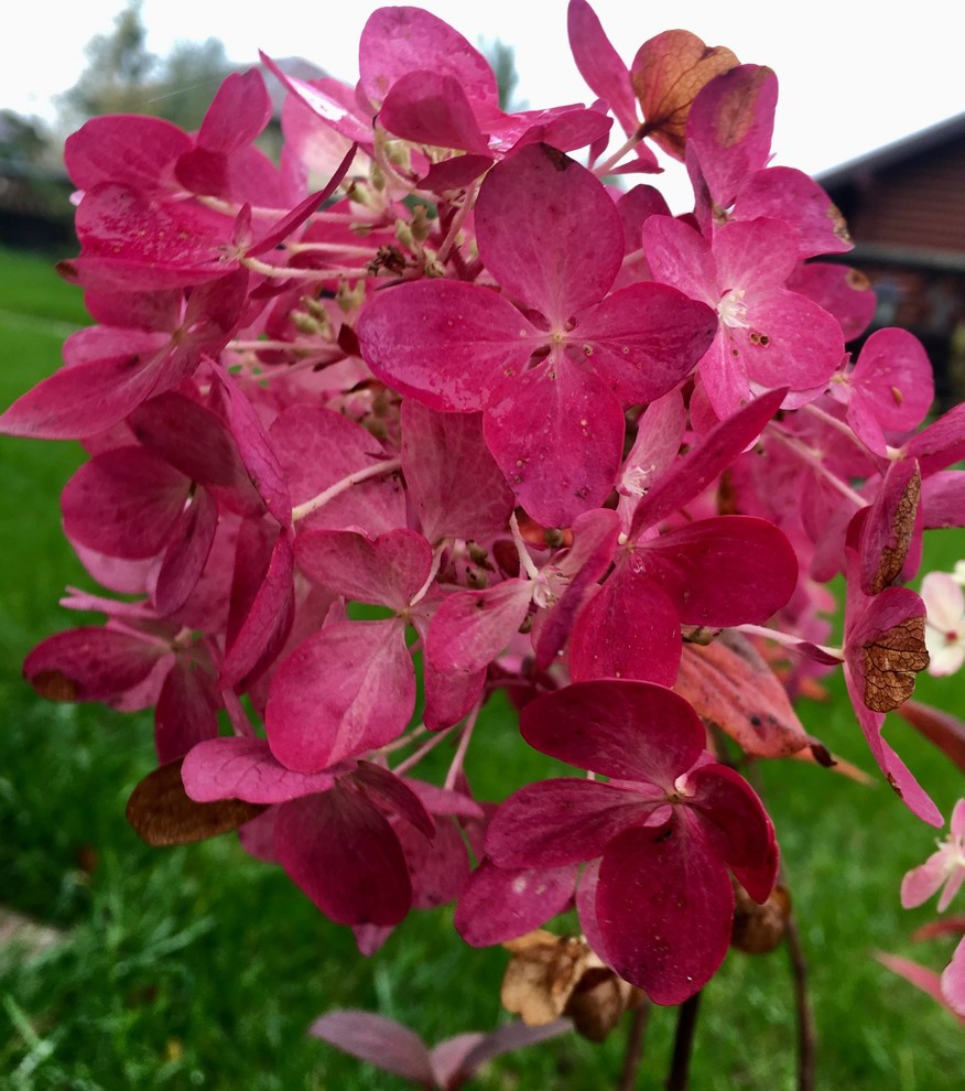 Обложка проекта: капитан Ленд