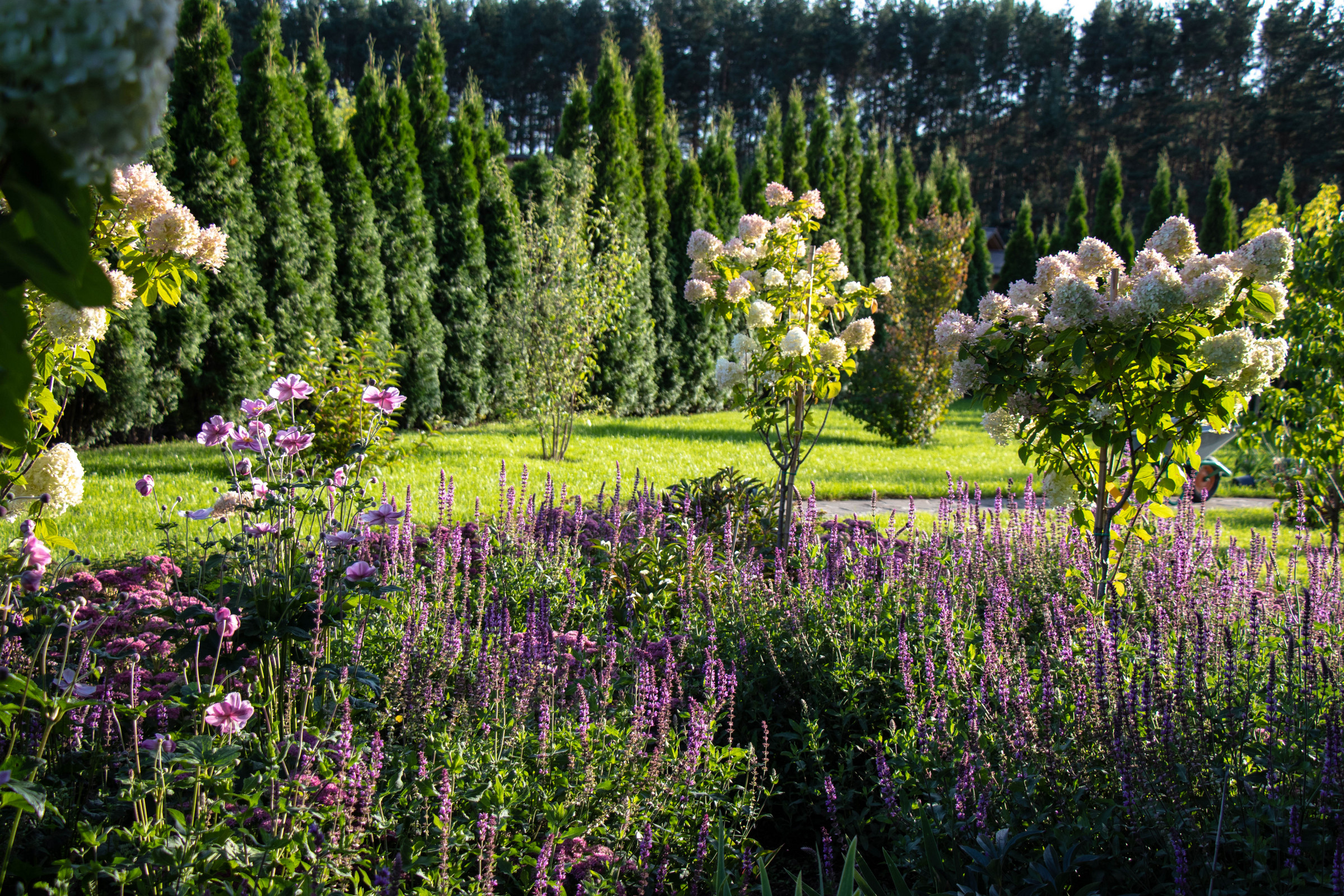 Сосновые берега