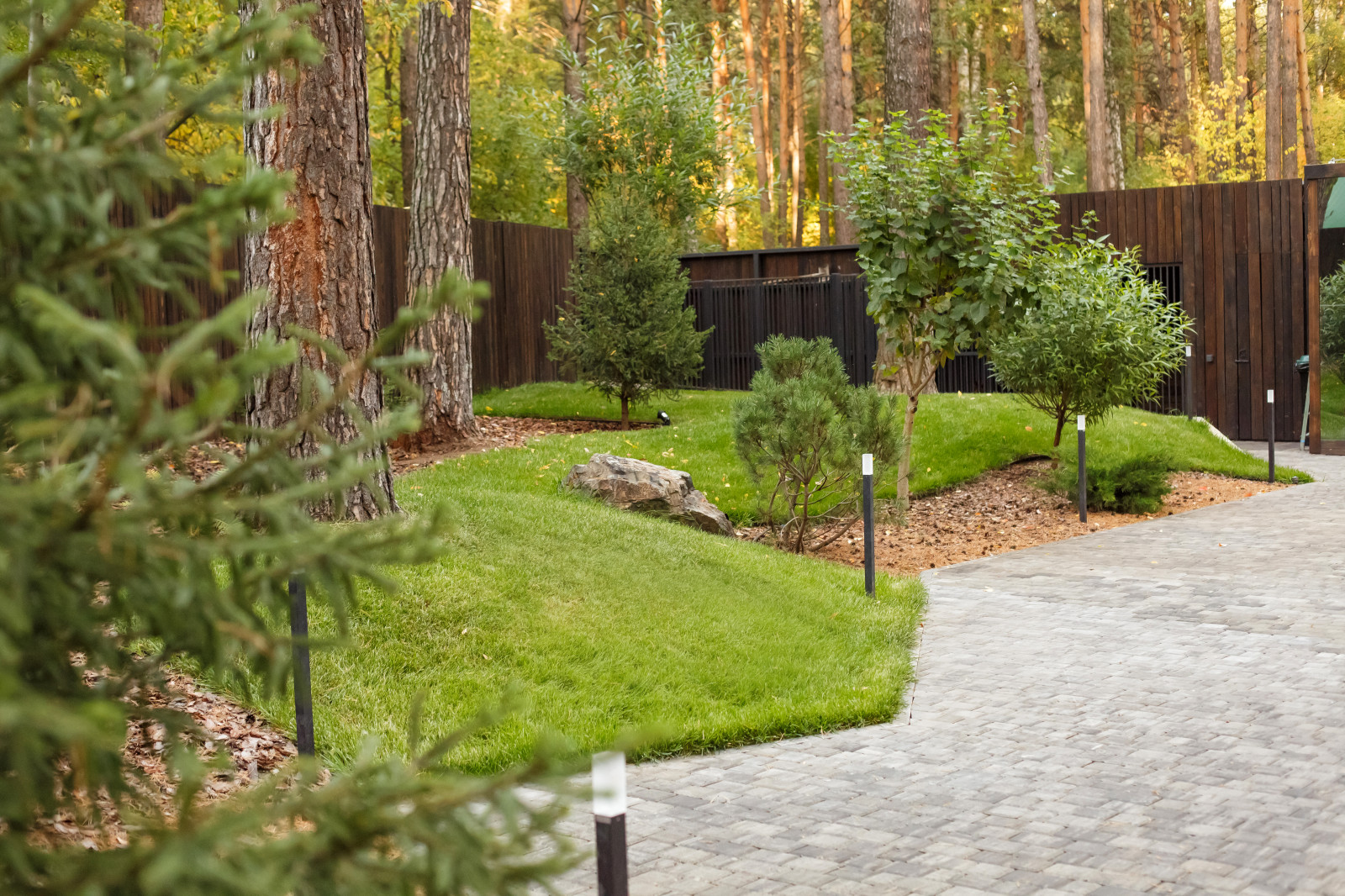 Ландшафт. Лесная погулка