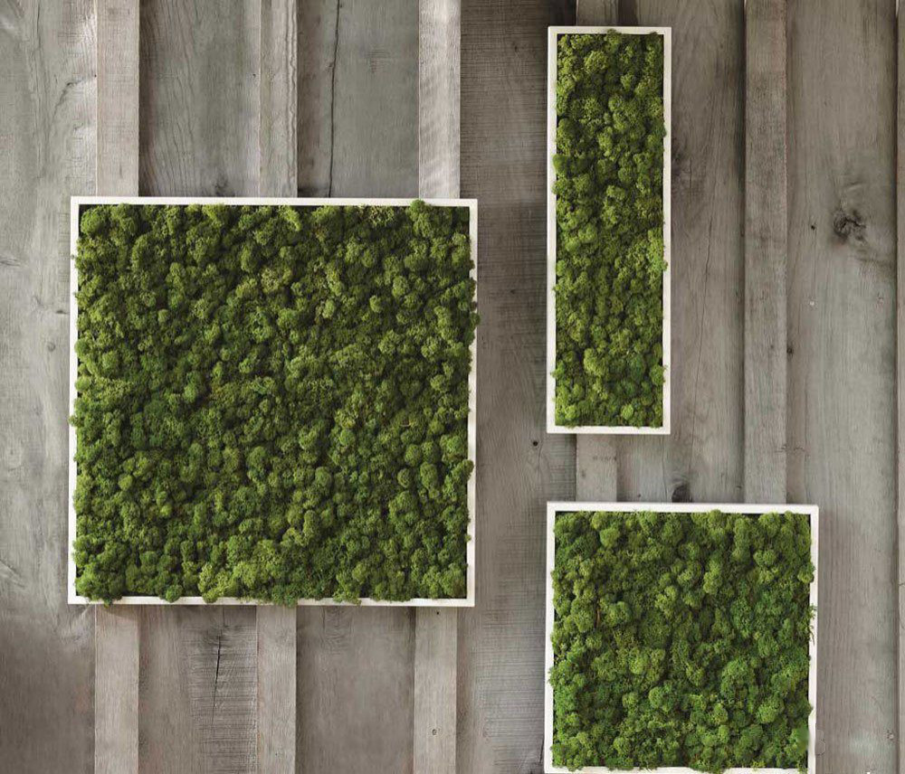 Панно и стены из стабилизированного мха