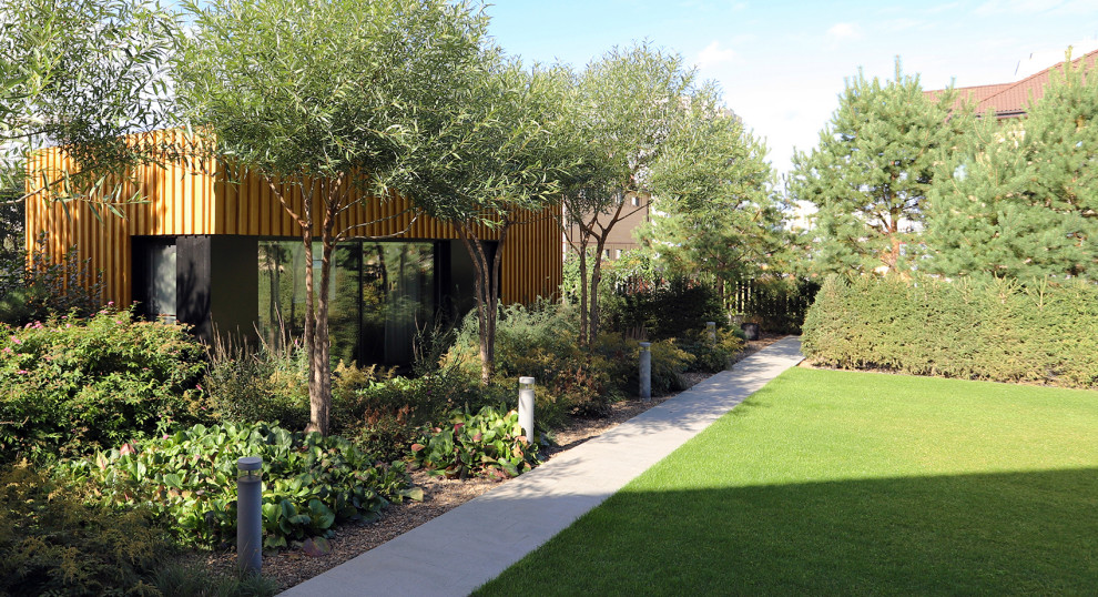 сад в городе