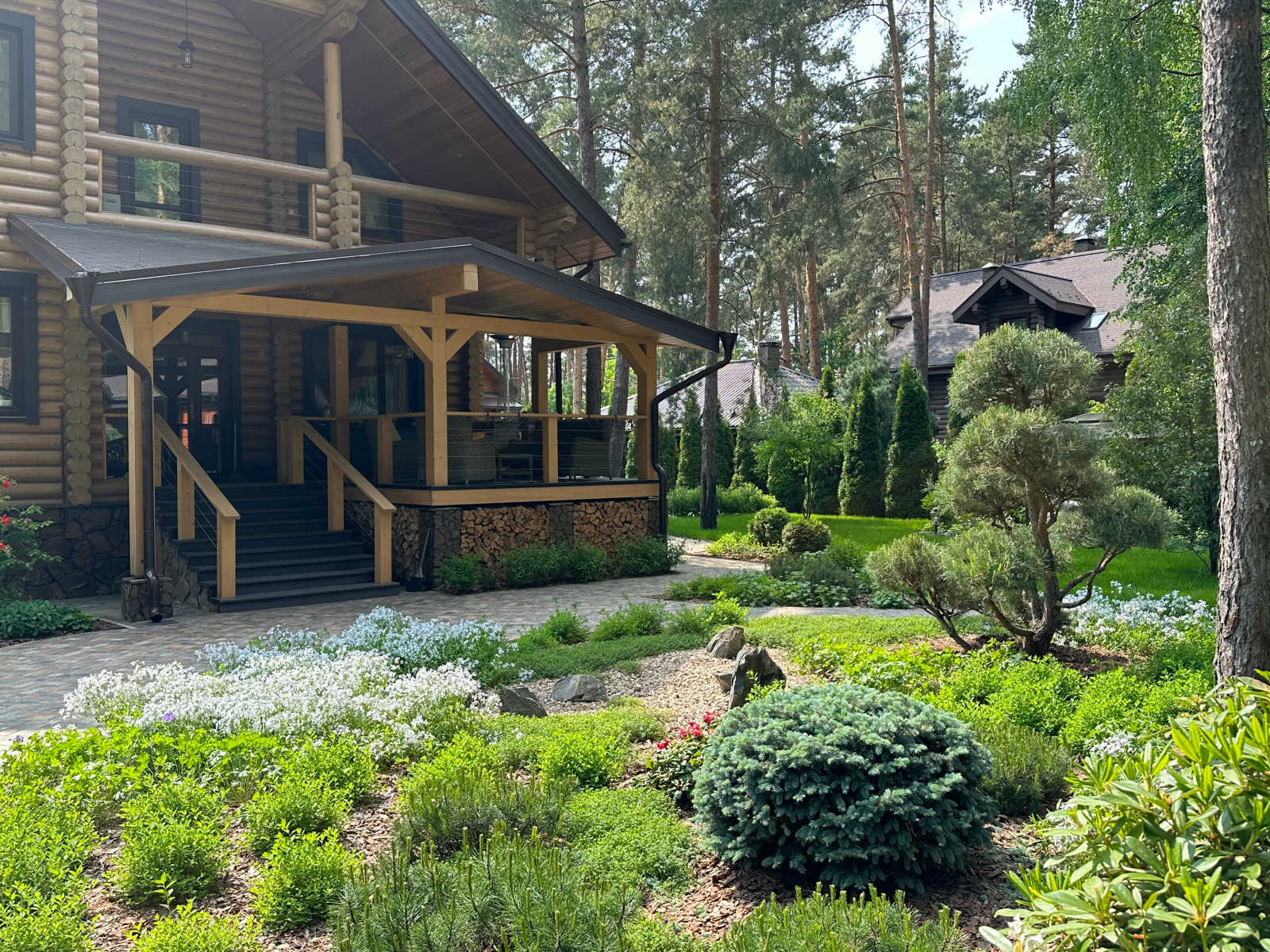 Заповедный Бор 2