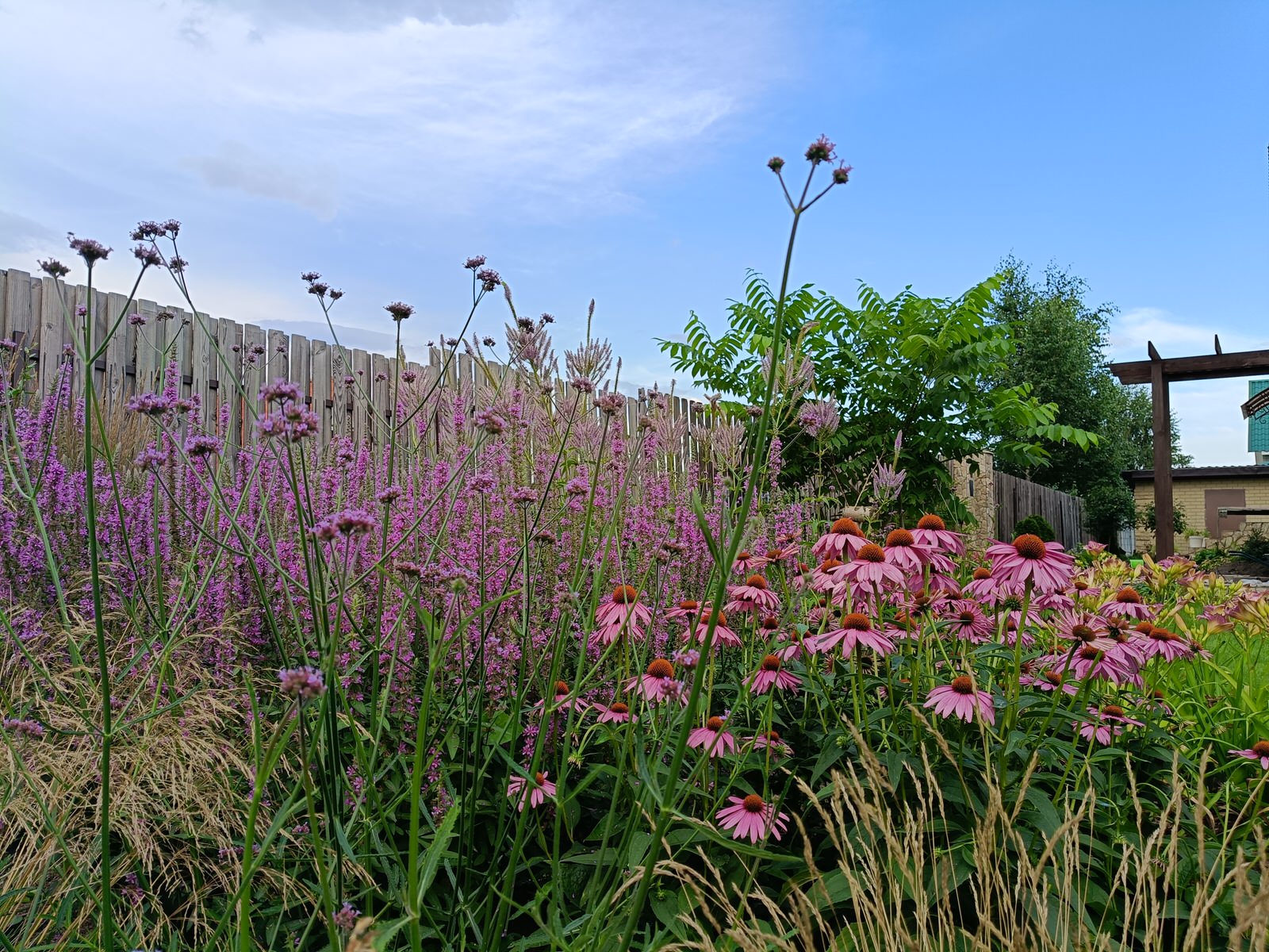 Сад в коттеджном поселке