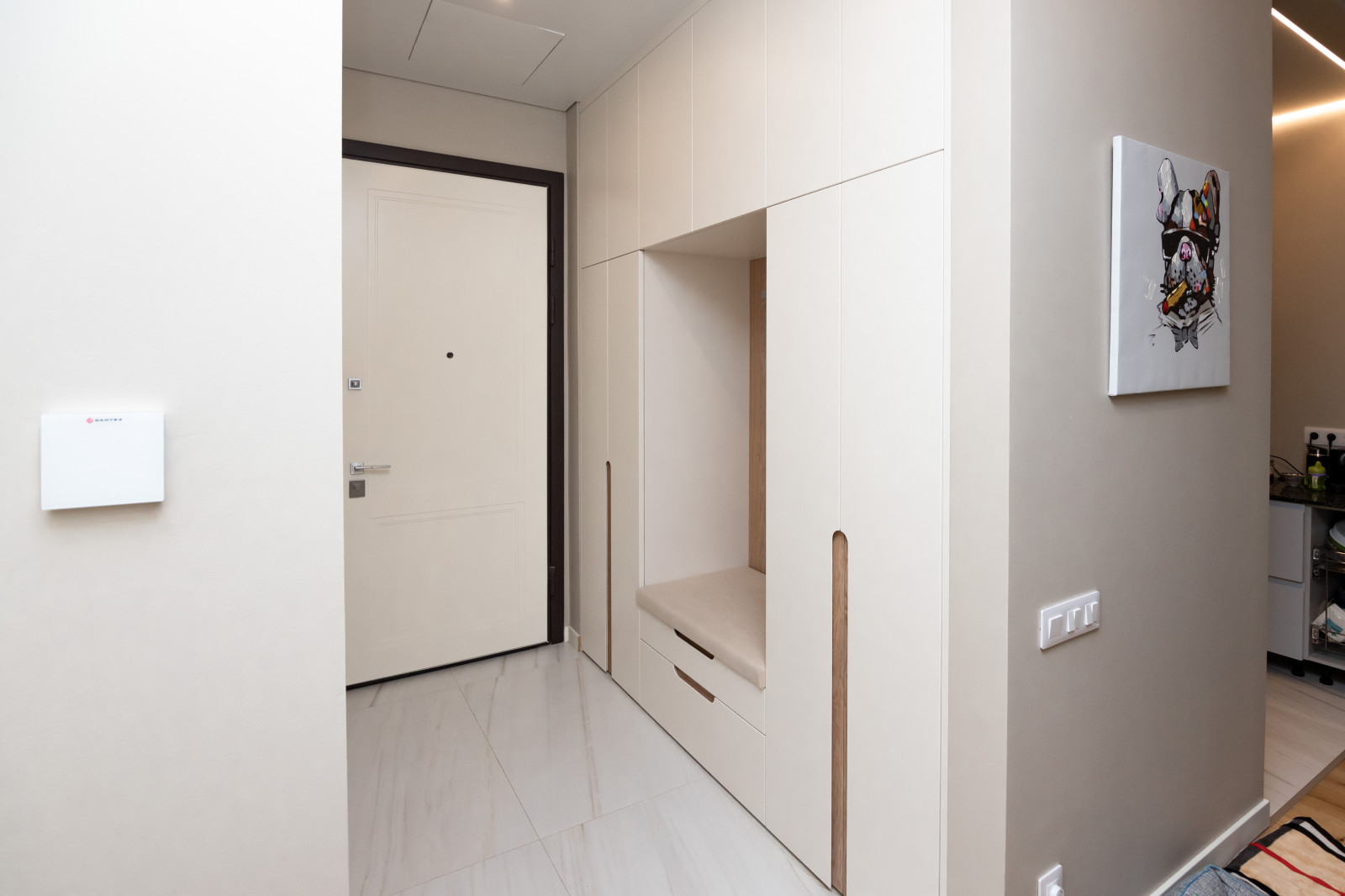 Гардероб и шкаф в прихожую в минималистичном стиле