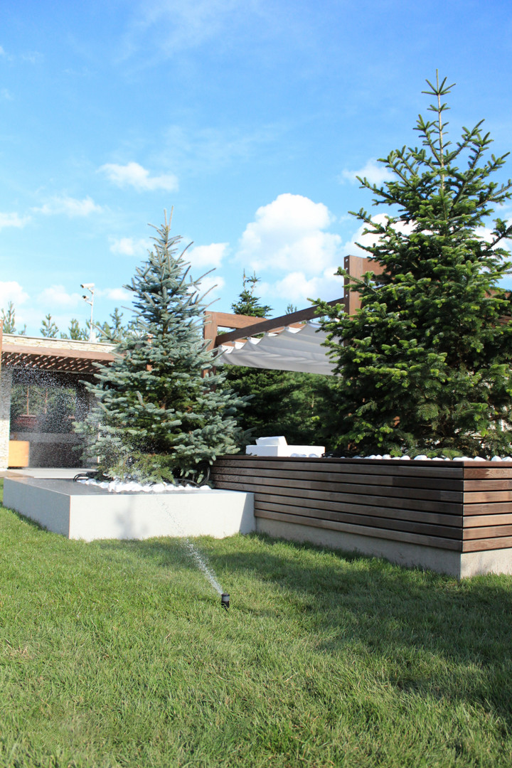 Черноголовка