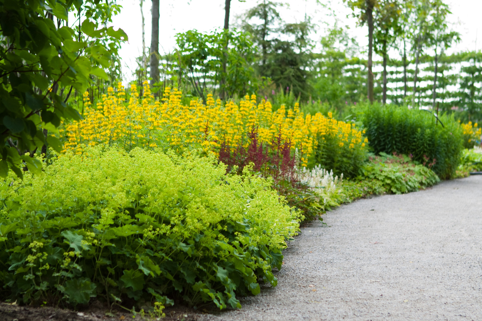 Обложка альбома: Ланшафтный дизайн