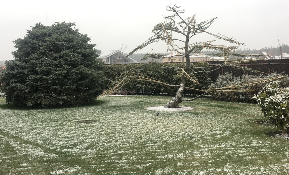 КП Снегири "Сад в пейзажном стиле" 50 соток