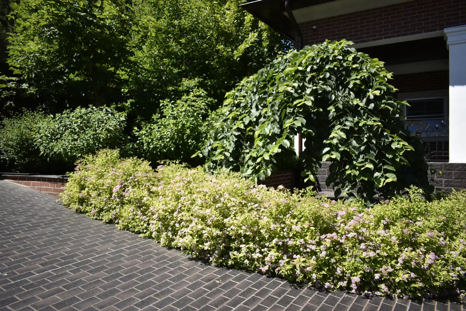 «САД ТРЕХ ПОКОЛЕНИЙ»