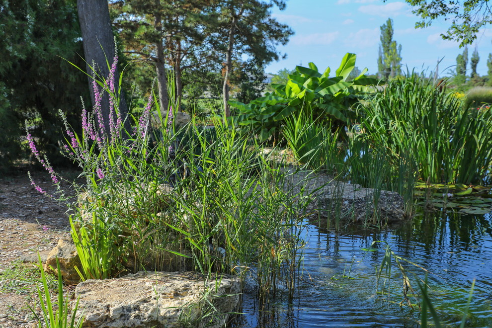 Съемка санатория "Черноморец"