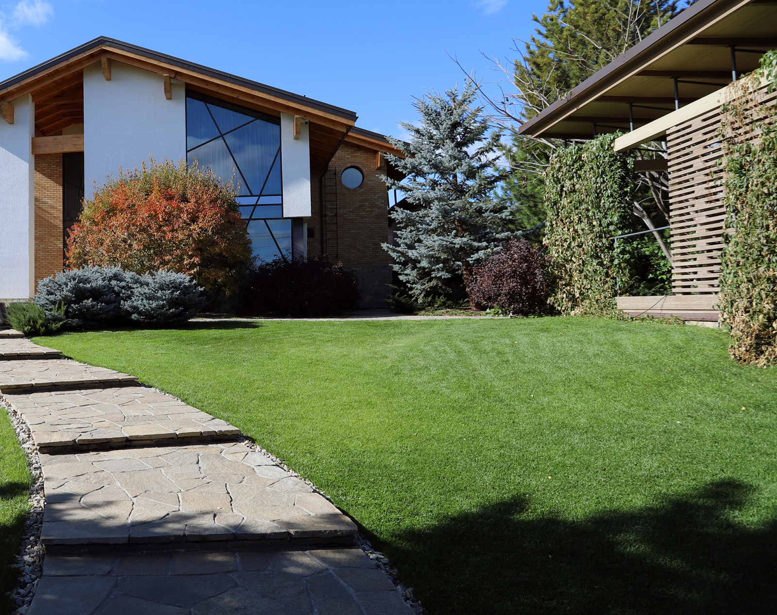 Сад с большими пихтами