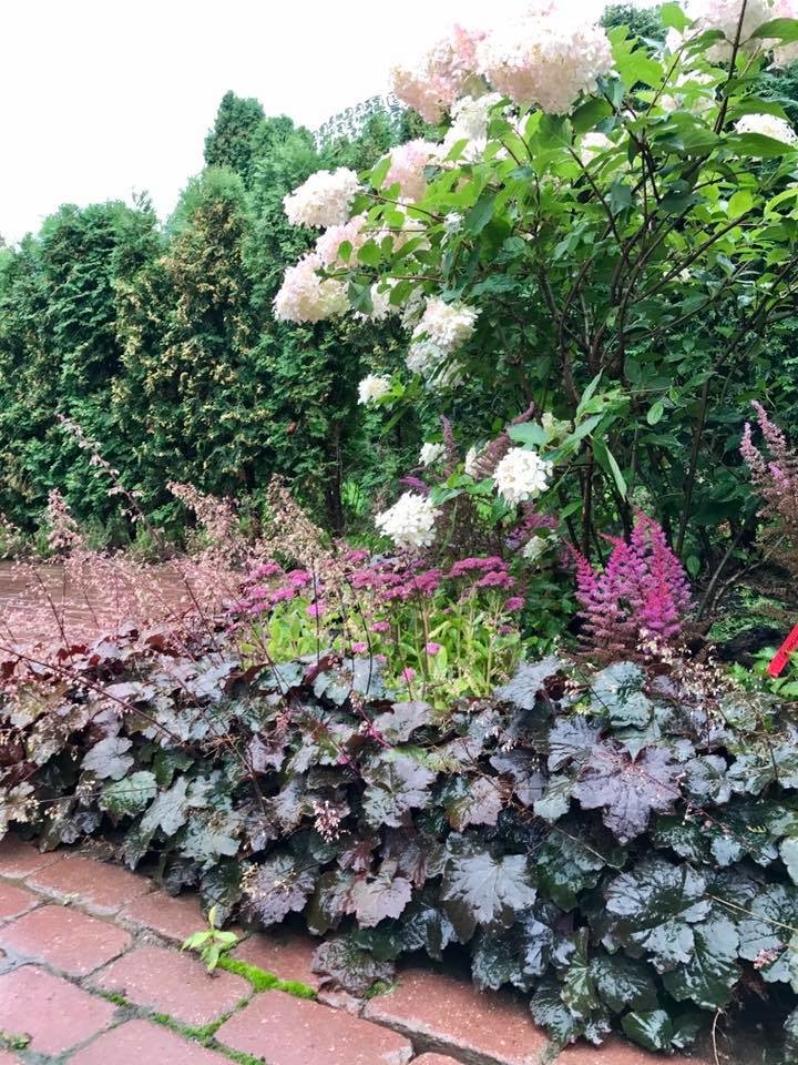 лесная рапсодия