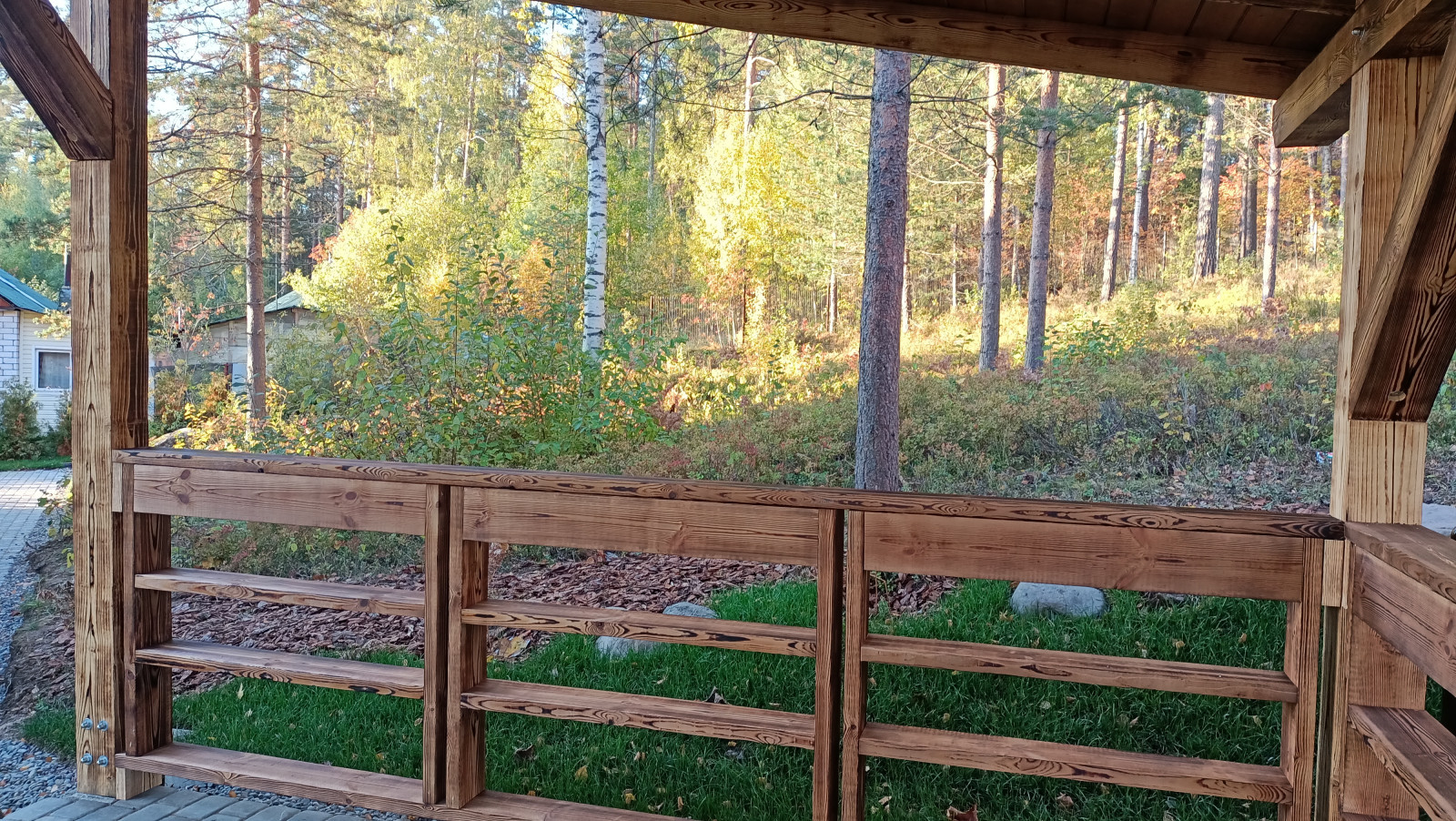 Лесная сказка в Мичуринском