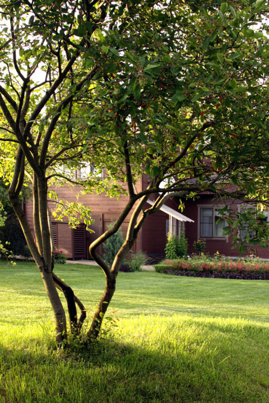 Большой сад для дружной семьи