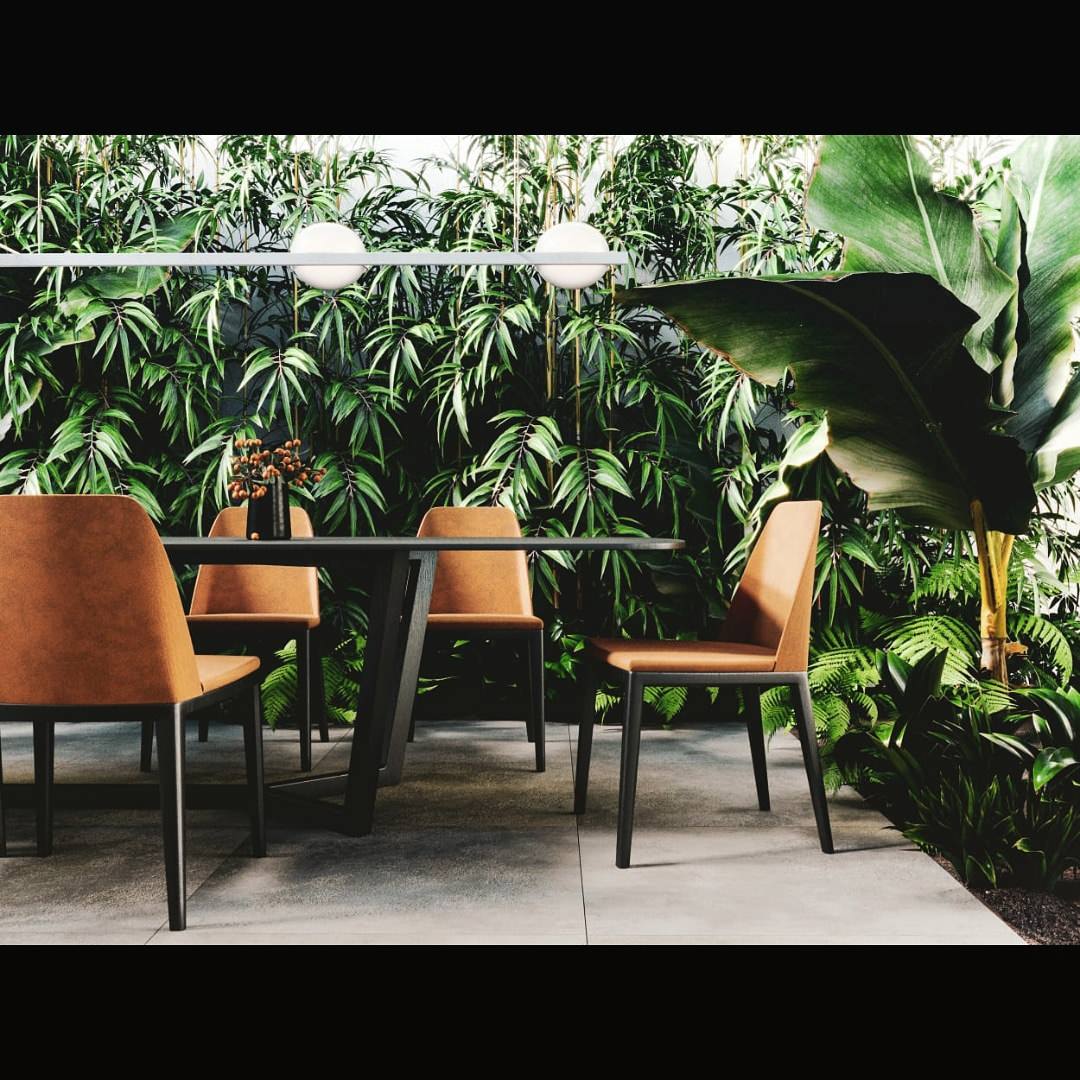 Тропический лес