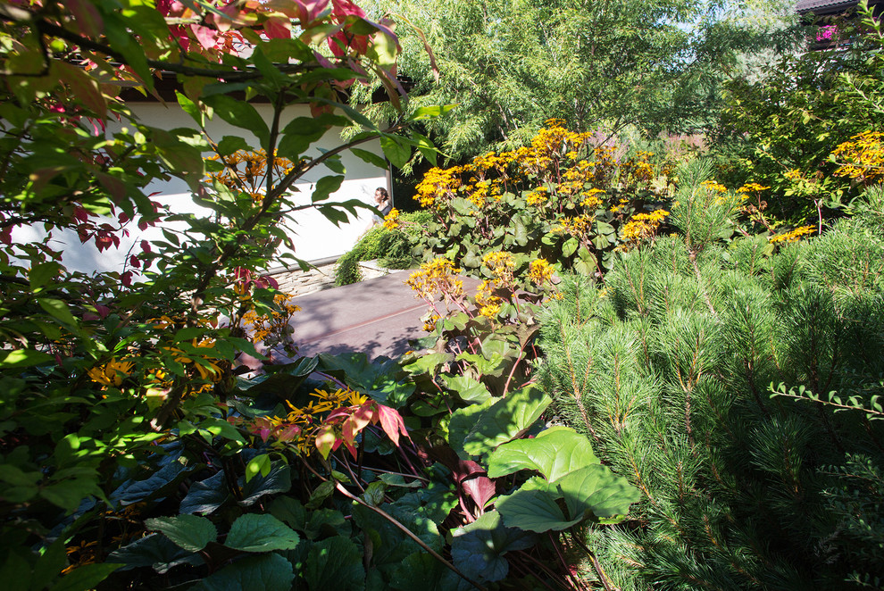 Garden of Elena Astashkina in Moscow Region
